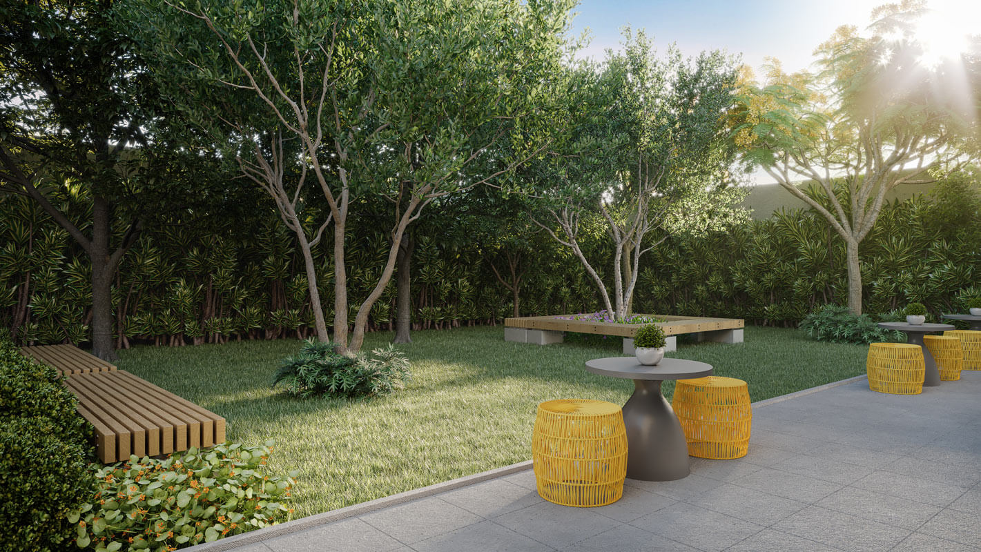 NEX ONE JOÃO CACHOEIRA