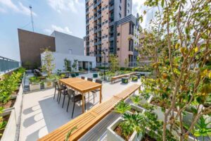 Rooftop Star Rooftop Star