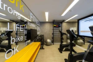 You Collection João Moura You Collection João Moura